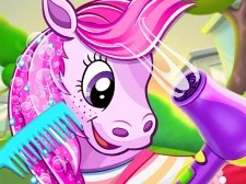 Salon de animale de companie Pony
