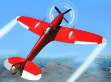 Simulator de zbor real